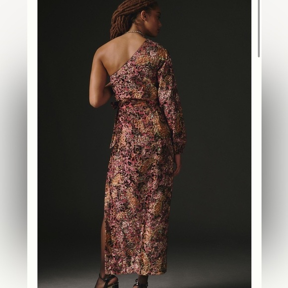 Hemant & Nandita Velvet Burnout Dress - Picture 4 of 10